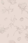 Sandberg Wallpaper Tapet Mandaleen Lys rosa