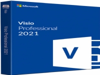 Program Microsoft Visio Professional 2021 (D87-07606)