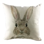 jieGorge Easter Sofa Bed Home Decoration Festival  Rabbit Pillow Case Cushion Cover, Pillow Case for Easter Day (B)