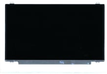 Lenovo ThinkPad P17 2 P17 1 P72 P73 Lcd Screen Display 17.3 FHD IPS AG 00NY698