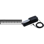 Roland Fp-30X Digital Piano, The Super-Popular Portable Piano—Upgraded (Black) & Dp-10 Traditional Style Damper Pedal