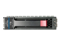HPE Midline - Hårddisk - 500 GB - SATA 6Gb/s - 7200 rpm - Smart Buy - med HP SmartDrive-väska