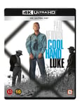 - Cool Hand Luke (1967) / Rebell I Lenker 4K Ultra HD