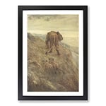 Big Box Art Lion and Cubs by John Macallan Swan Framed Wall Art Picture Print Ready to Hang, Black A2 (62 x 45 cm)