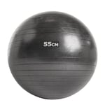 Nordic Fighter Pilatesboll, Gymboll 55 cm