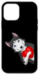 Coque pour iPhone 12 mini Chien husky