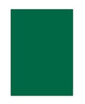 Folia 6358 - Lot de 50 Feuilles de Papier de Couleur - Vert Sapin - Format A3-130 g/m² - pour Le Bricolage et la Conception créative des Cartes, des Images de fenêtre et pour Le Scrapbooking