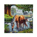 Diamantmålning Canvas 30x30 cm, Hästar