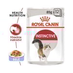 Royal Canin Instinctive Jelly - 12x85 g