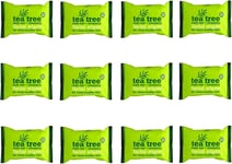 12PKS 25PC Tea Tree Daily Use Cleansing Facial Face Make up Wipes