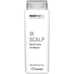 Framesi Kokoelma Morphosis Scalp Destress Shampoo 250 ml