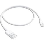 Apple Câble lightning 50 cm - de données / charge pour iPad iPhone iPod
