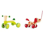 Hape Ride-On Balance Bike, Sustainable Wood, Scoot-Around” Balance Bike, 4-Wheeled, Rubber Tyres & E0347 E0347B Pepe Pull Along Toy, Single, Multicoloured, 18 x 26 cm
