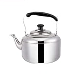 TQJ Teapot Stovetop Kettle Large Capacity 304 Stainless Steel Automatic Whistle Induction Cooker Gas General Teapot Electric Kettle Breville (Size : 6L)