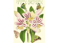 Madame Treacle B6 glitterkort med kuvert Födelsedag Amaryllis