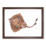 Brown Ray By Edward Donovan Vintage Framed Wall Art Print, Ready to Hang Picture for Living Room Bedroom Home Office Décor, Walnut A4 (34 x 25 cm)