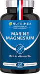 Marine Magnesium and Vitamin B6 | Fights Fatigue | 150 Mg/Day | 120 Plant-Based