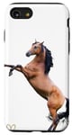 Coque pour iPhone SE (2020) / 7 / 8 Motif Cheval bai brun Avec un beau Coeur D'Amour Doré