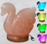 Himalayan USB Colour Changing Swan Shape Salt Light Lamp Lamps Crystal Home Gift