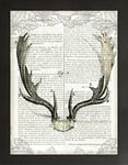 Frame Company Watson Range Regal Antlers on Newsprint II by Sue Schlabach, Frame - A1, Black