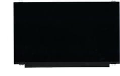 Lenovo Display 15.6 Inch