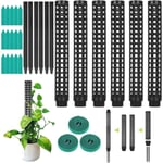 Spaljé, växtstöd, mosspinne för Monstera, 6-pack, kokosnötsväxter, mossstolpe, växtstöd, Monstera klätterhjälp KLB
