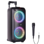 Ibiza - VENUS600-2x8"/20 cm, 600W battery-powered portable speaker with light effect on front panel and wired microphone - Bluetooth, USB, microSD, AUX and MIC - Black