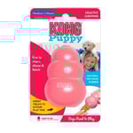 Kong Puppy Medium 