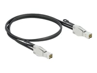 Delock - Extern Sas-Kabel - Sas 32Gbit/S - Mini Sas Hd (Sff-8674) (Hane) Till Mini Sas Hd (Sff-8674) (Hane) - 2 M
