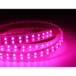 5 m. vattentät växt LED strip - 230V, IP67, 180 LED, 10W per meter