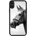 Apple Iphone X / Xs Svart Mobilskal Med Glas Häst