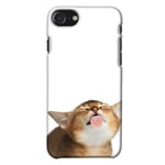 Apple Iphone 8 Glansigt Mobilskal Cat Keeps You Clean