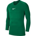 Nike Treningsgenser Park 1STLYR Dry - Grønn/Hvit Treningsoverdel unisex