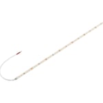 Grazia LED Strip vit 48W 6600lm 2700K CRI80 5M 24V IP20