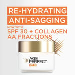 L'Oreal Paris Age Perfect Collagen Expert Day Cream SPF 30 Anti-Sagging NEW