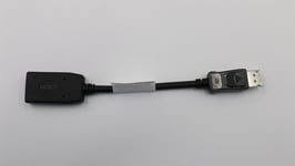 Lenovo ThinkStation P340 P348 P350 P358 Display Port HDMI Adapter 5C10V05976