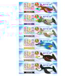 Bird Gliders Glidflygplan