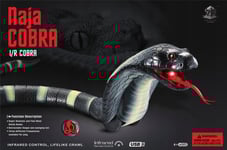 Cobra R/C Pro Kids Slang /12 8808A-B 94676