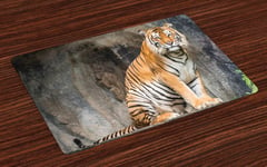 Zoo Place Mats Set of 4 Bengal Tiger Cat Predator