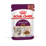 Royal Canin Sensory Taste i saus - 96 x 85 g