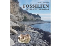 Fossilien Nordwesteuropas | Palle Gravesen | Språk: Danska