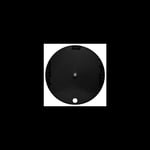 FFWD Disc-T Carbon Plate Bane Black Foran, Pariser, 1025gr