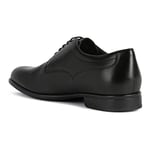 Geox Homme U Iacopo C Chaussures, Black, 41.5 EU