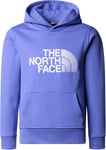 The North Face The North Face Boys' Drew Peak Hoodie Dopamine Blue XS, Dopamine Blue