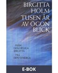 Tusen år av ögonblick : från den heliga Birgitta till den syndiga, E-bok
