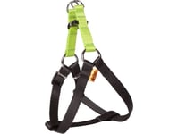 Dingo Fred Energy Storlek 50 Bredd 1,6 Cm Grön (94611)
