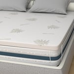 miasuite i sogni italiani Topper Semi-Rigide Simple 80 x 190 h 3 cm - Dispositif médical déductible - Correcteur pour Matelas