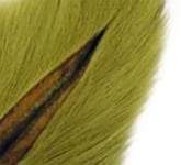 Bucktail - Olive