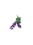 Click and Grow Smart Garden Refill 3-pack - Lavender