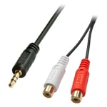 Lindy Câble Audio Premium 2 x RCA (Cinch) Femelle vers Jack 3,5mm mâle, 25cm